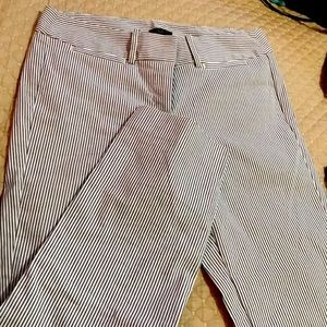 Ann Taylor Petite Striped Trousers